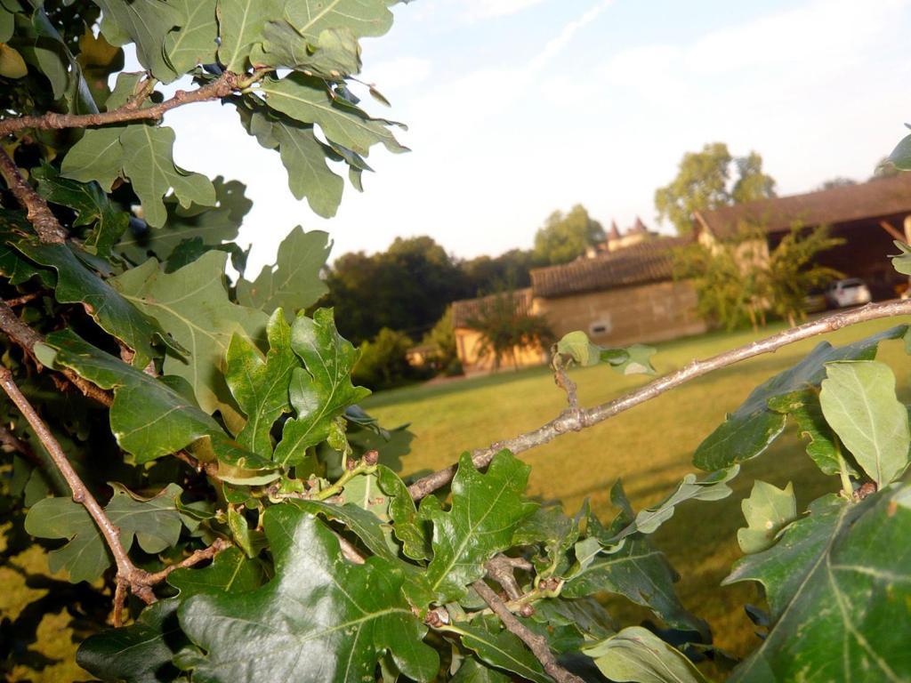 - Maison De Marie