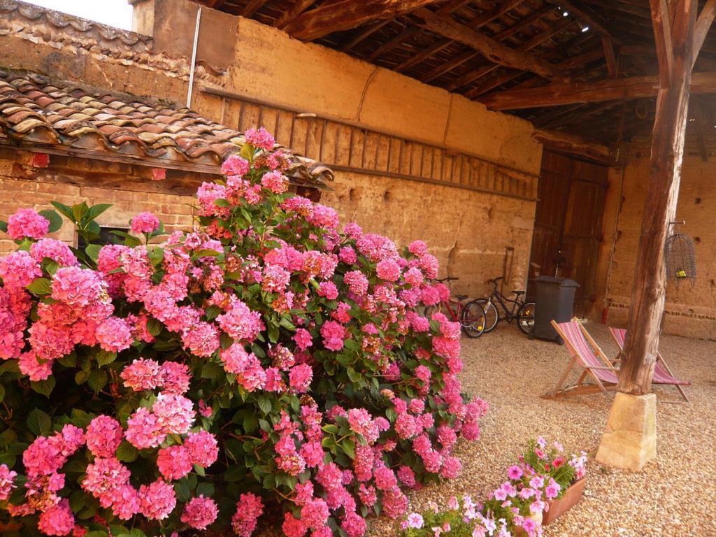 - Maison De Marie Gasthuis Messimy-sur-Saone